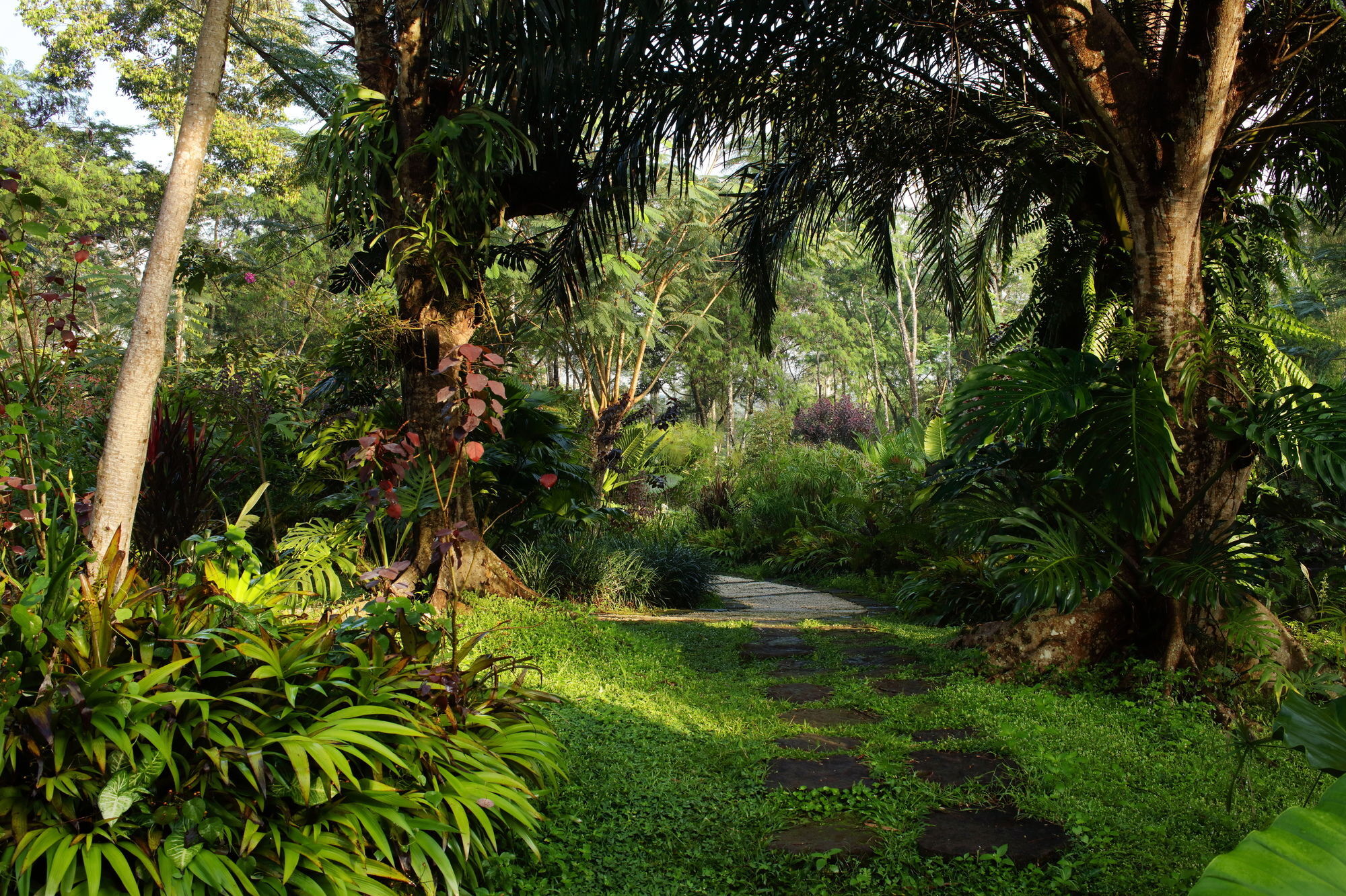 MesaStila Resort&Spa Magelang Exterior foto